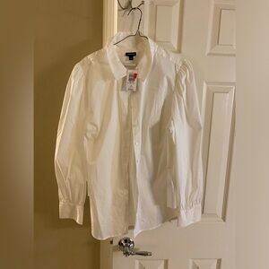 TORRID- button down dress shirt- long sleeve